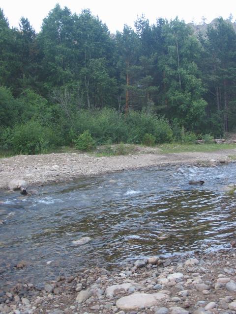 foto 029.jpg.jpg